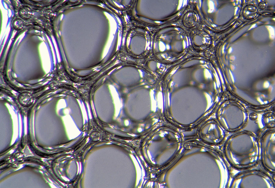 Macrophotograph Of Air Bubbles In Beaten Egg White Photograph by Pascal Goetgheluck/science Photo Library