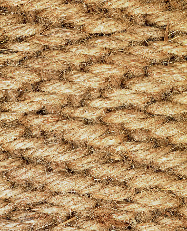 Macrophotograph Of The Weave Of A Jute Mat by Adrienne Hart-davis/science  Photo Library