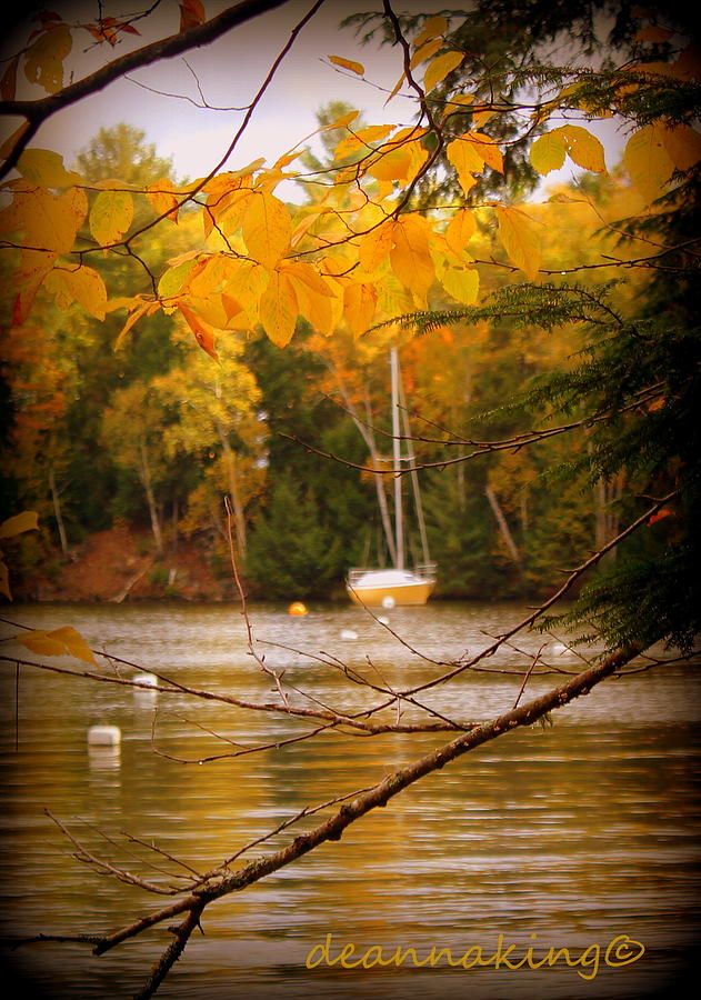 Mactaquac Marina Photograph by Deanna King - Fine Art America