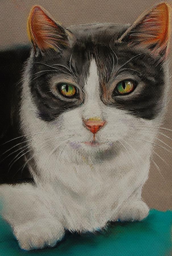 Macy Gray Cat Drawing by Jean Cormier