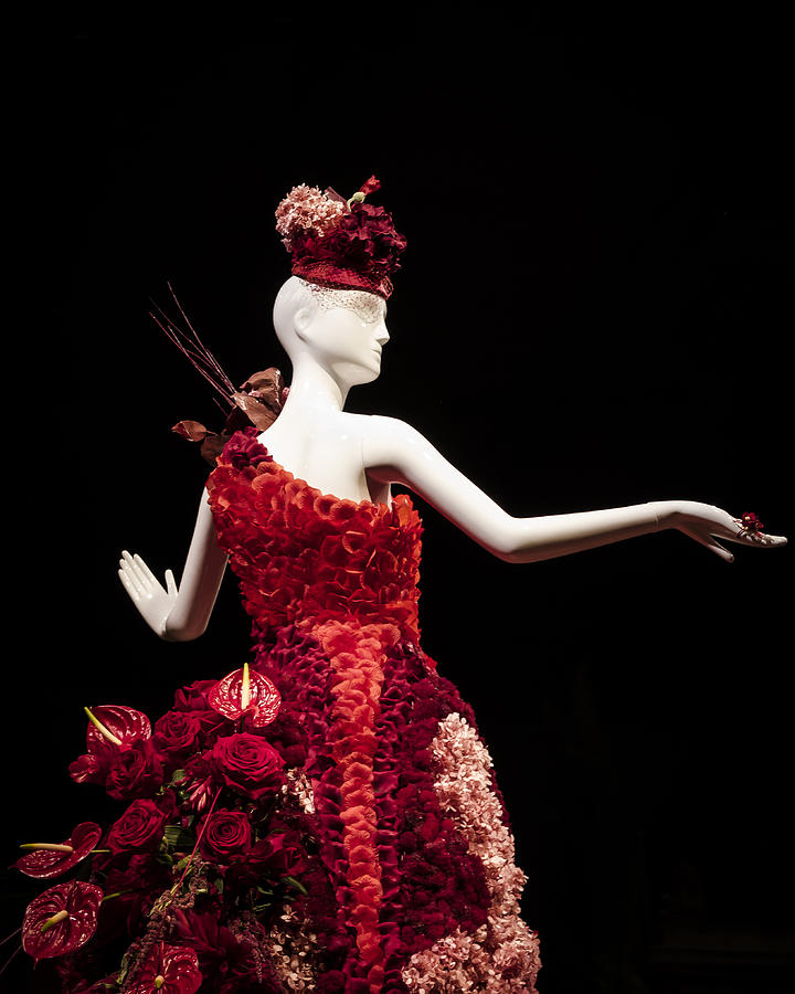 Flower Digital Art - Macys Lady Rose by Gary Rieks