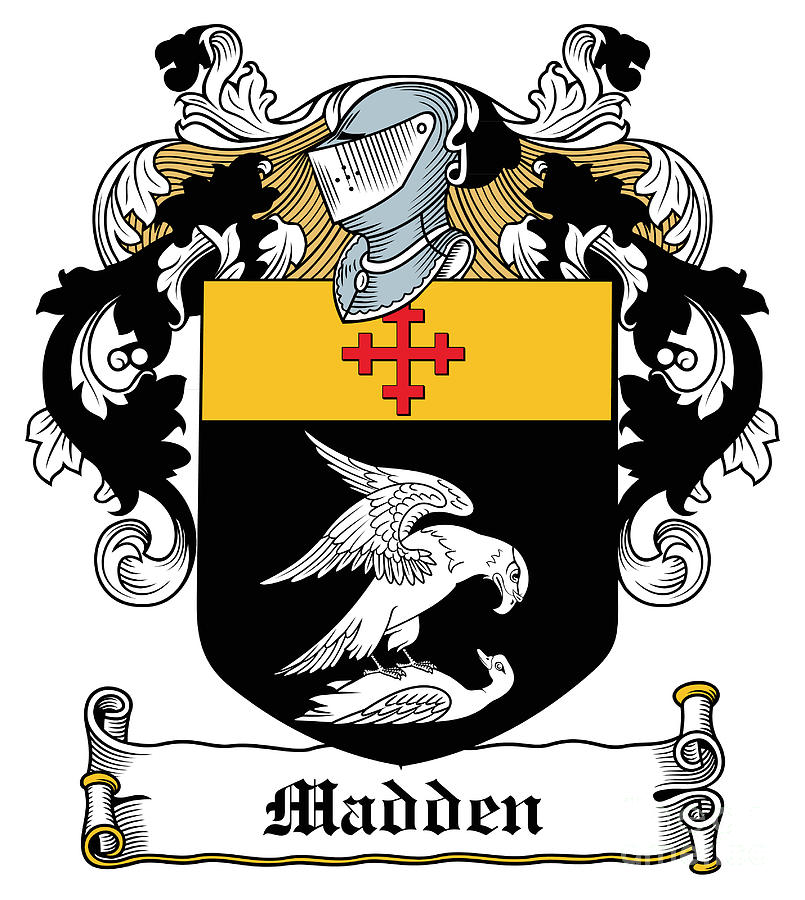 Madden Coat of Arms Galway Ireland Digital Art by Heraldry