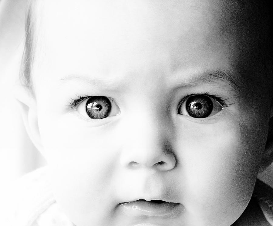 Maddie Big Eyes Photograph by Ryan Hedrick - Fine Art America