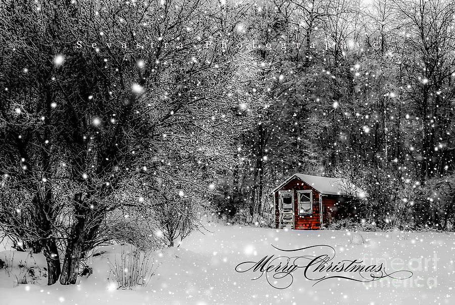 Made in Maine Christmas Photograph by Brenda Giasson
