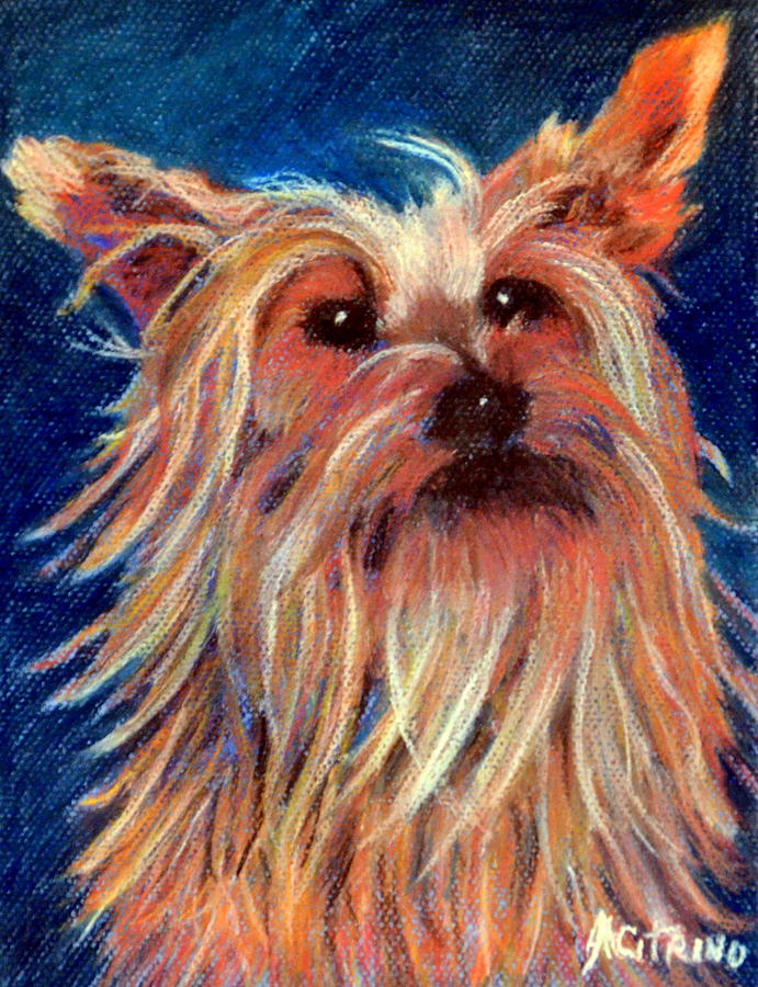 Dog Pastel - Made My Day   pastel by Antonia Citrino