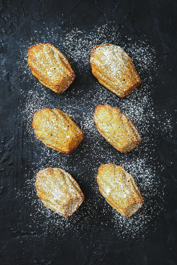 Madeleines Photograph by Eugene Mymrin