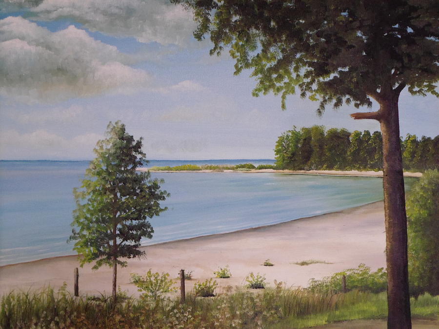 Madelyns Point Painting by Martin Schmidt