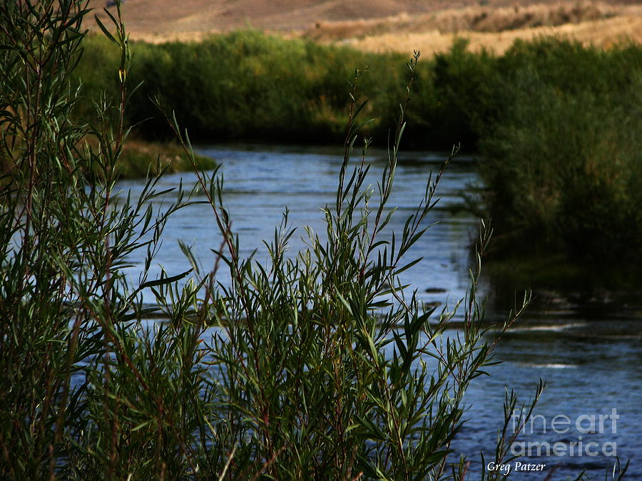 Nature Photograph - Madison River by Greg Patzer