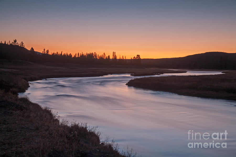 Madison River in Yellowstone National Park Photograph by Fred Stearns