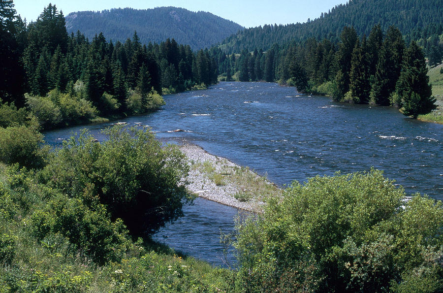 Madison River Photograph by James Steinberg