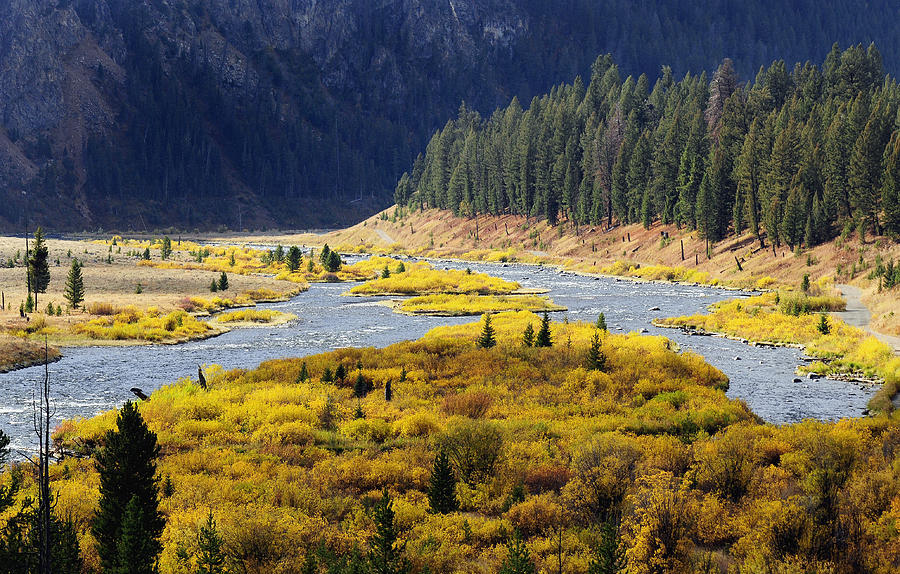 Madison River, Montana Photograph by Theodore Clutter