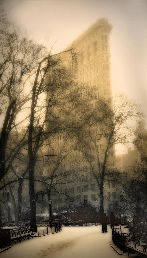 Nature Photograph - Madison Square Park by Jessica Jenney