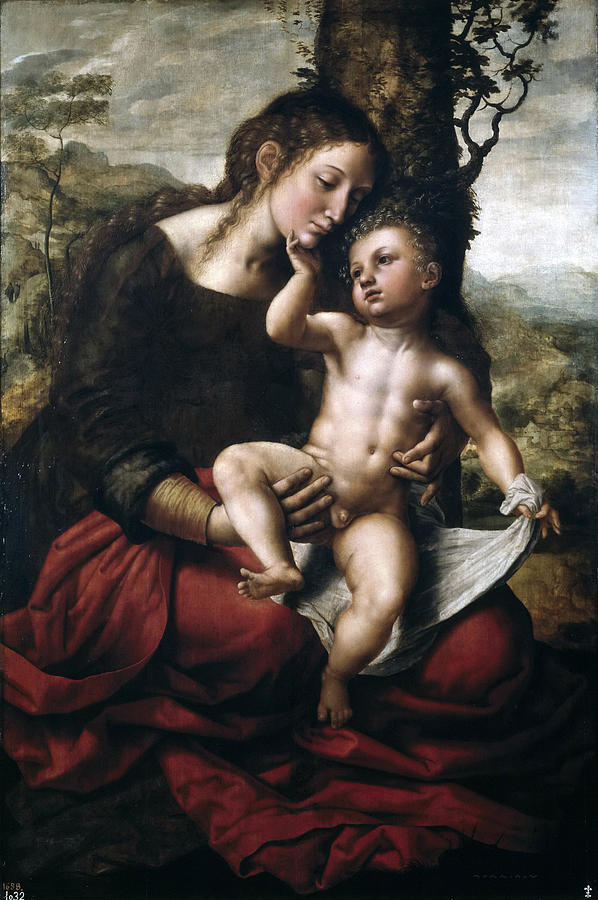 Madonna and Child Painting by Jan Sanders van Hemessen