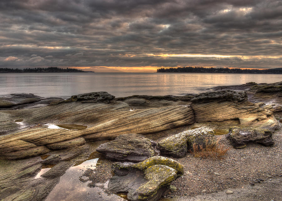 Landscape Photograph - Madrona Point by Randy Hall