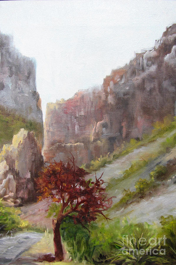Madrone Tree- Big Bend Landscape Painting by Barbara Haviland