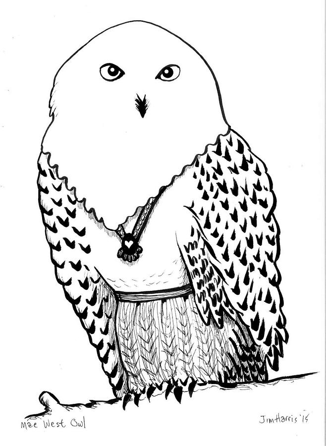 Mae West Owl Drawing by Jim Harris