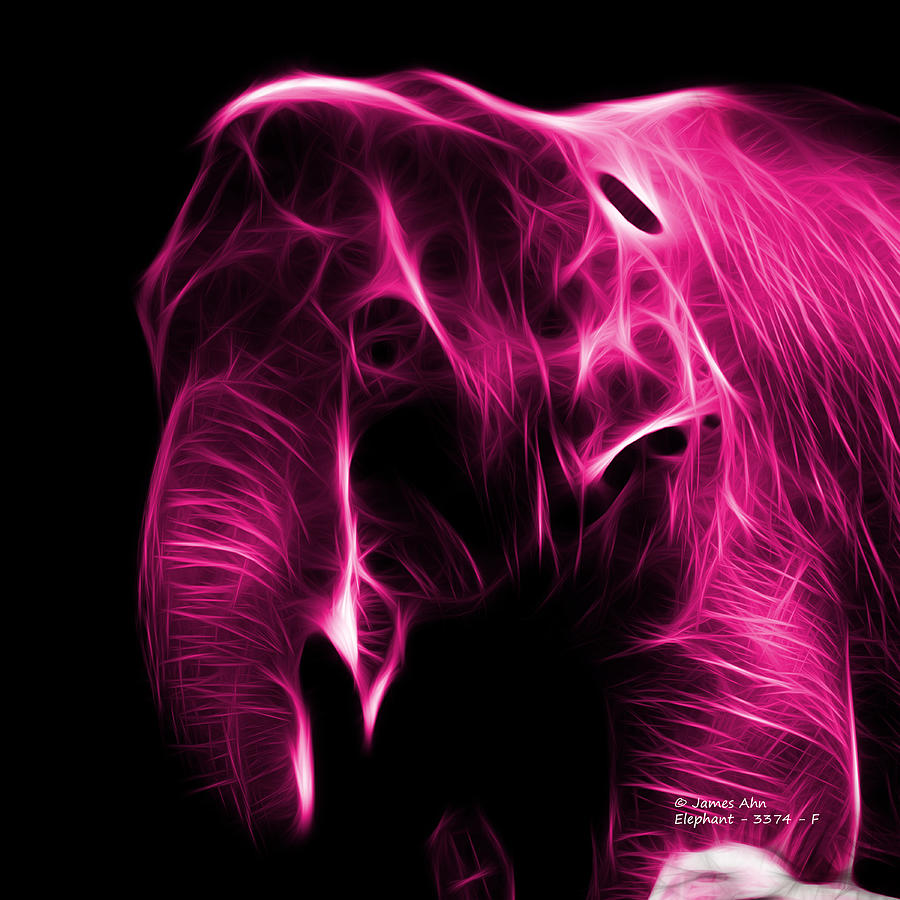 Magenta Elephant 3374 - F Digital Art by James Ahn