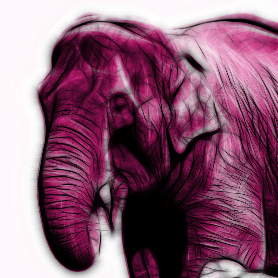 Magenta Elephant 3374 - F - S Digital Art by James Ahn