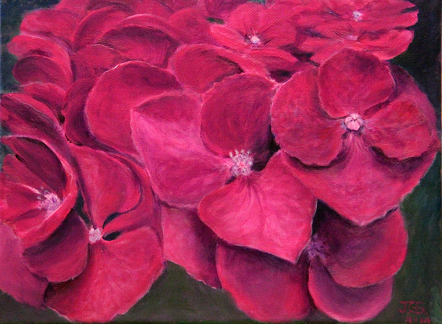 Magenta Hydrangeas Painting by Janet Greer Sammons