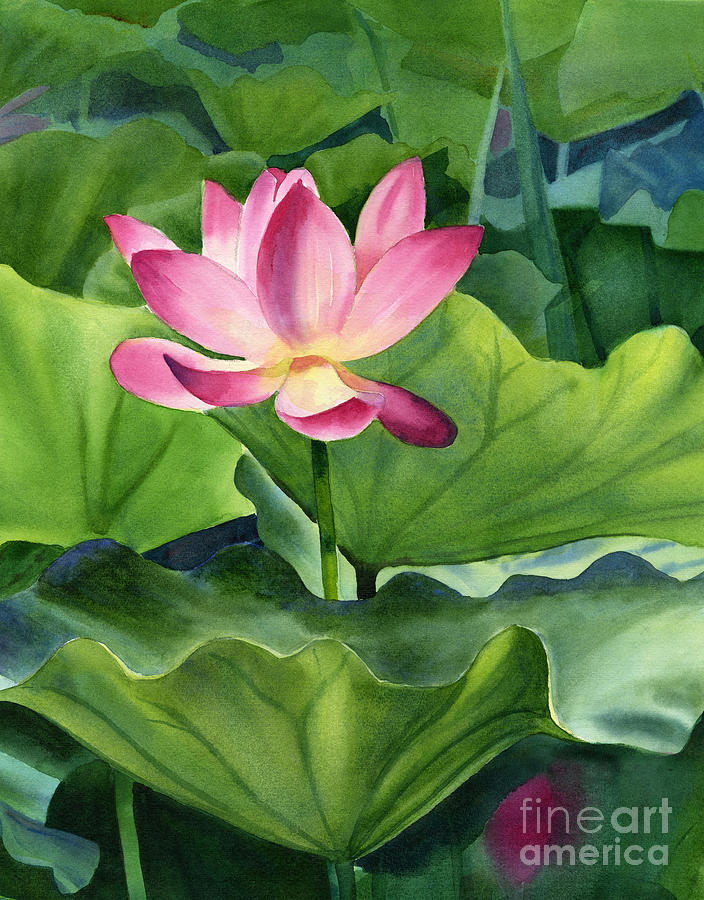 Magenta Painting - Magenta Lotus Blossom by Sharon Freeman