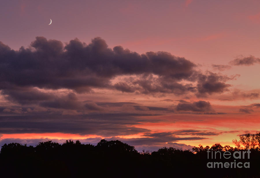 Magenta Moonrise Photograph by Deborah Smolinske