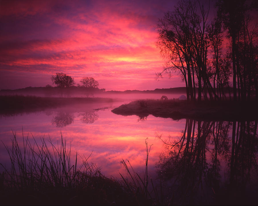 Magenta Morning Photograph by Ray Mathis