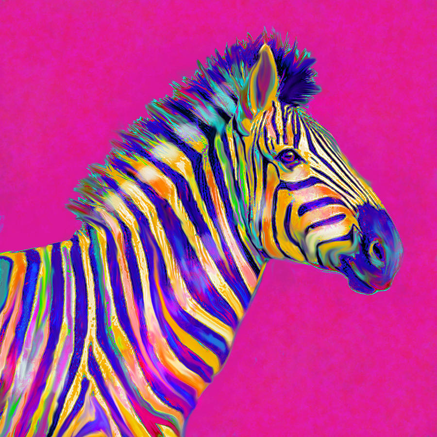Magenta Zebra Digital Art by Jane Schnetlage