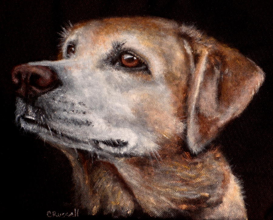 Maggie Mae Painting by Carol Russell