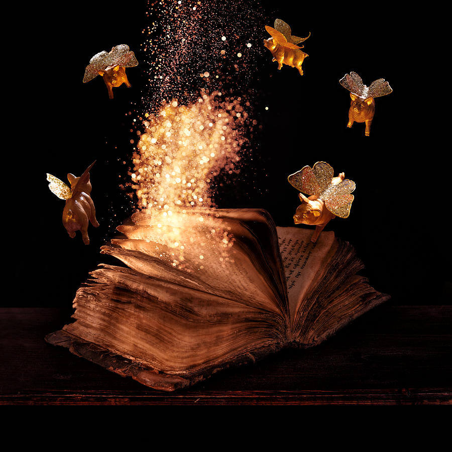 Still Life Photograph - Magic book  by Floriana Barbu