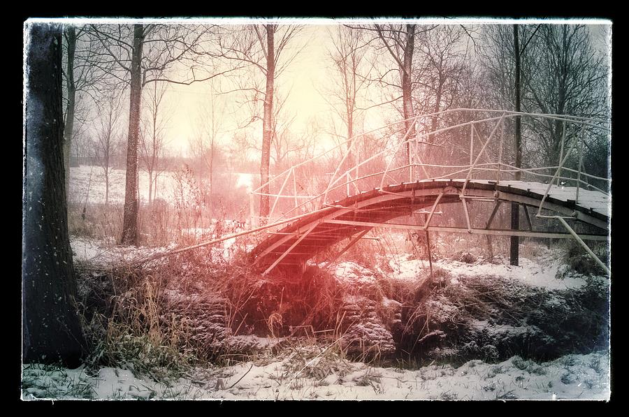 Nature Photograph - Magic bridge by Lorraine Lumb