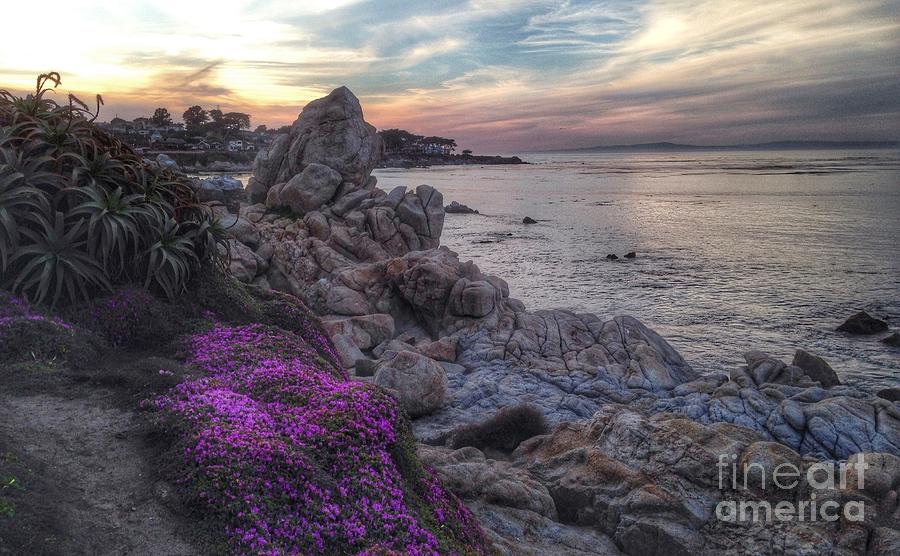 Magic Carpet in Pacific Grove Photograph by Charlene Mitchell