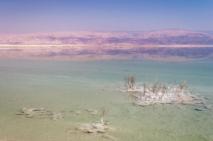 Magic colors of the Dead Sea Photograph by Sergey Simanovsky