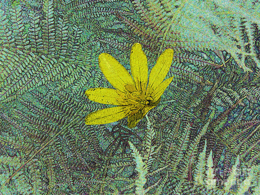 Nature Photograph - Magic Fern Flower 01 by Ausra Huntington nee Paulauskaite