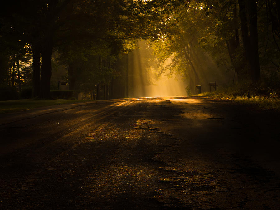 Landscape Photograph - Magic Morning Country Road by Nancy Schroeder Szatkowski