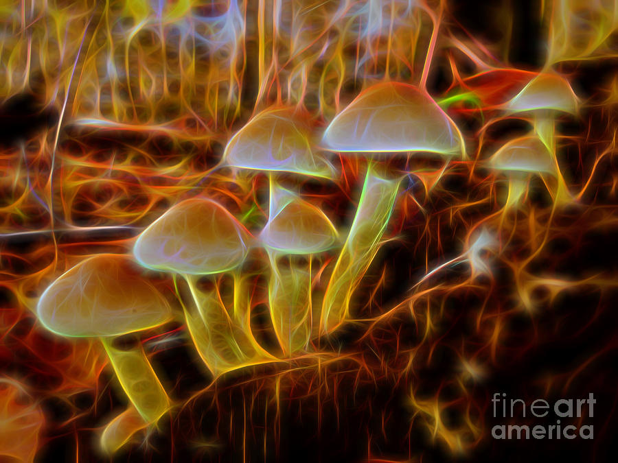 Magic Mushroom-3 Digital Art by Casper Cammeraat