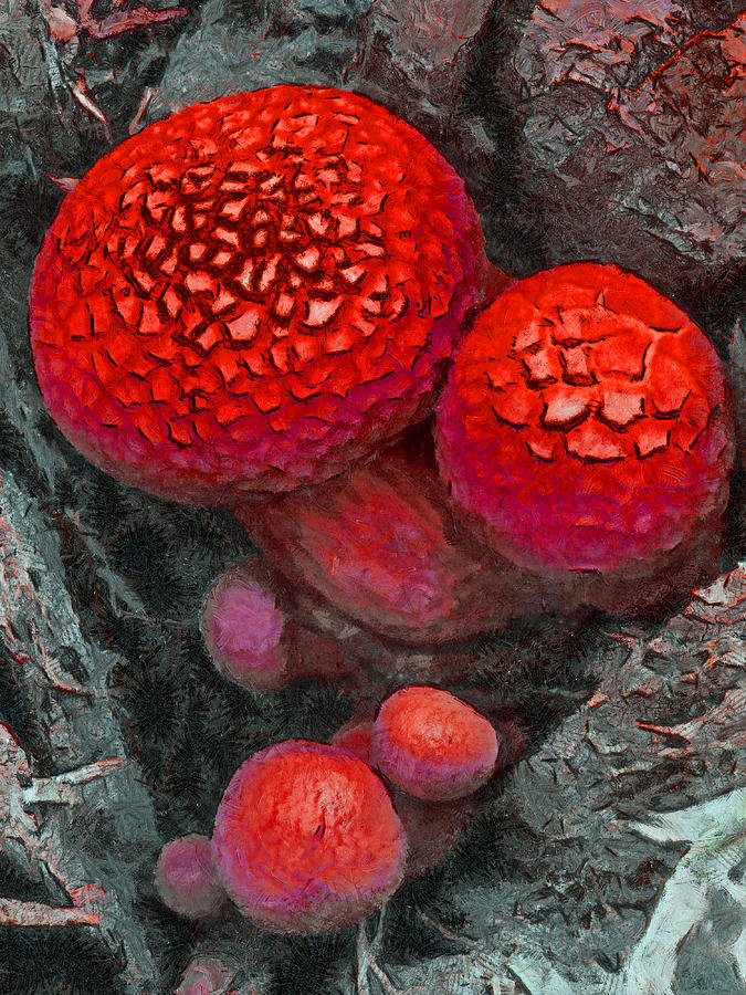 Magic Mushrooms Digital Art by Steve Taylor