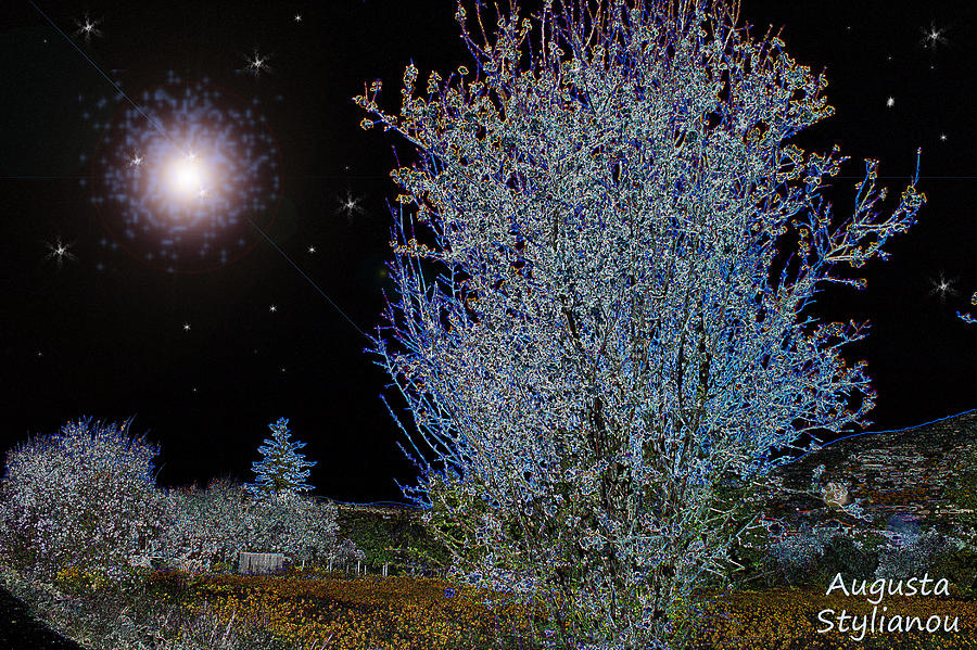 Magic Night Sky Digital Art by Augusta Stylianou