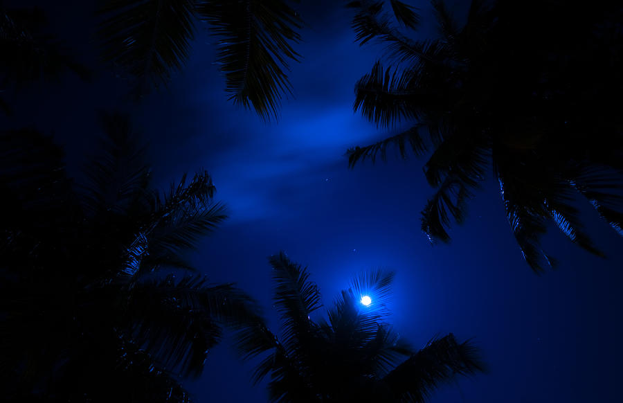 Magic of the Night Sky 1 Photograph by Jenny Rainbow