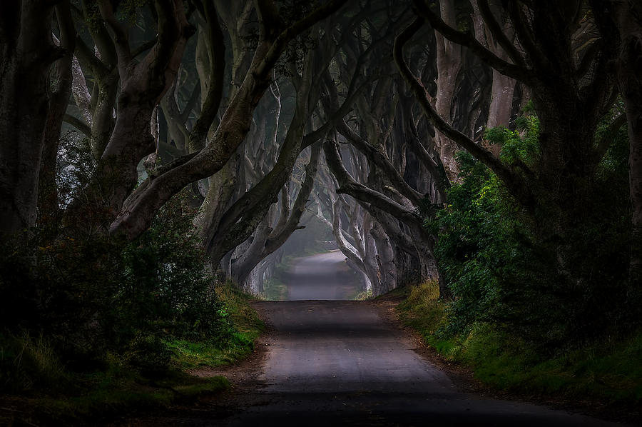 Ireland Photograph - Magic Road by Piotr Galus