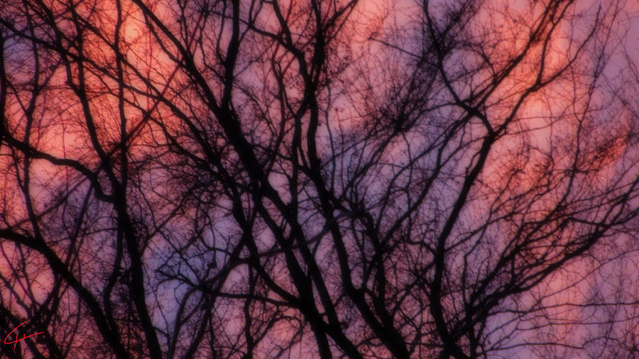 Magic Sunset Last Night  Photograph by Colette V Hera Guggenheim