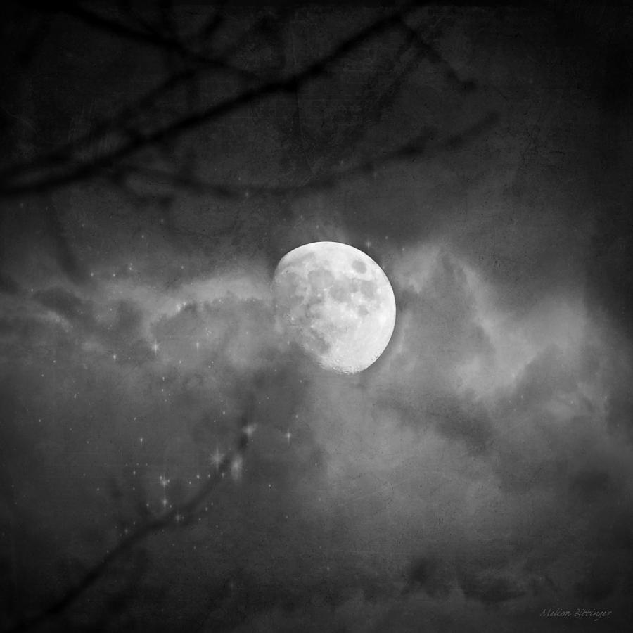 Magic Under The Moon Photograph by Melissa Bittinger