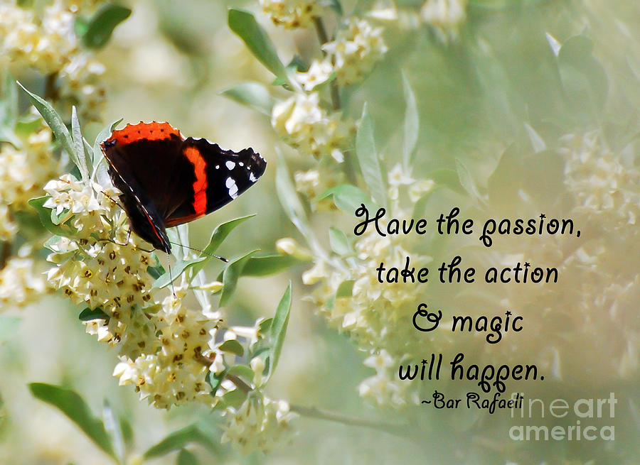 Butterfly Photograph - Magic Will Happen by Kerri Farley