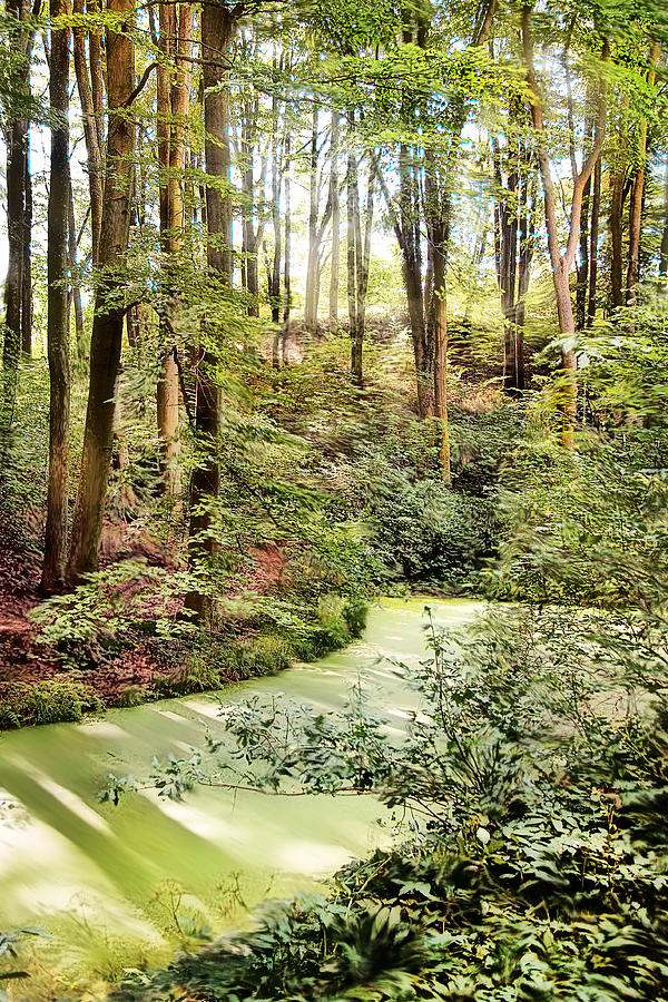 Botanic Gardens Photograph - Magic World Of Botanic Gardens by Danuta Antas Wozniewska Botanic Gardens Photograph - Magic World Of Botanic Gardens by Danuta Antas Wozniewska