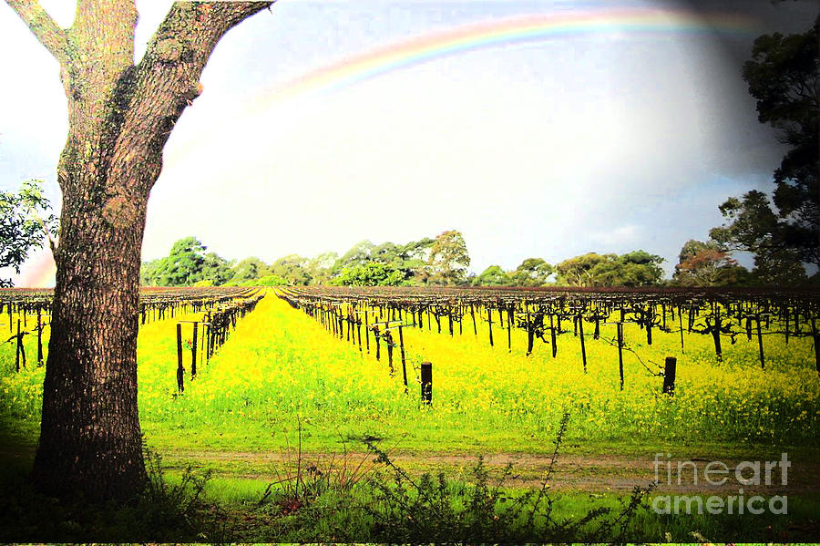 Magical Day Photograph By Jennifer Cadence Spalding Fine Art America