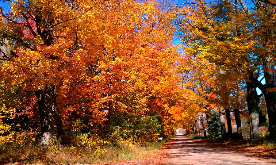 Magical Fall. Photograph by Ruben Llano | Fine Art America