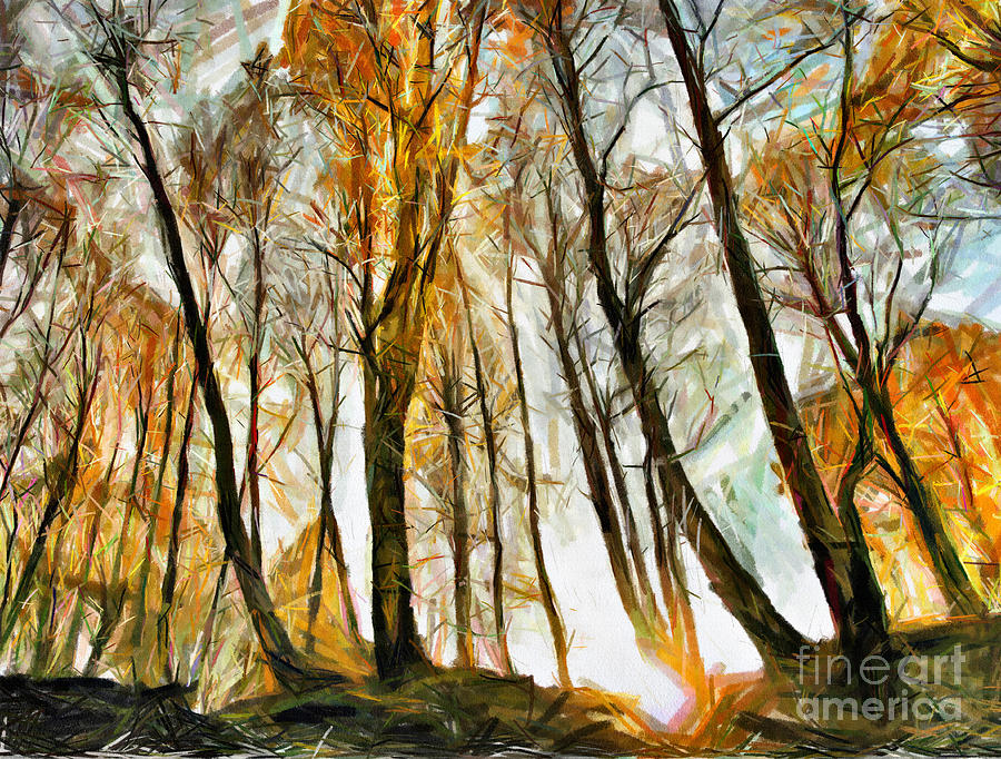 Magical Forest - Drawing Drawing by Daliana Pacuraru
