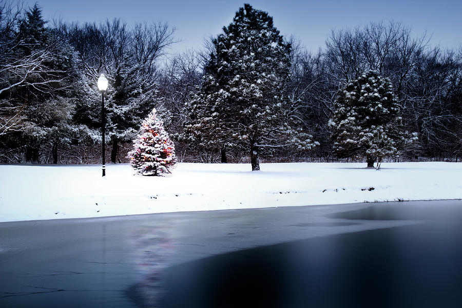 Magical Light Illuminates Snow Covered Photograph by Ricardoreitmeyer