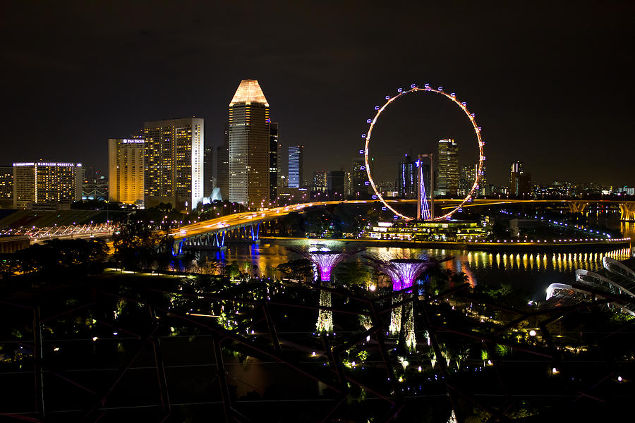Magical Lights of Singapore Photograph by Christie Kowalski