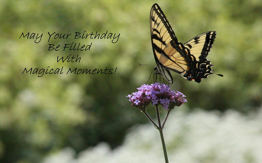 Butterfly Photograph - Magical Moment Birthday by Rosanne Jordan