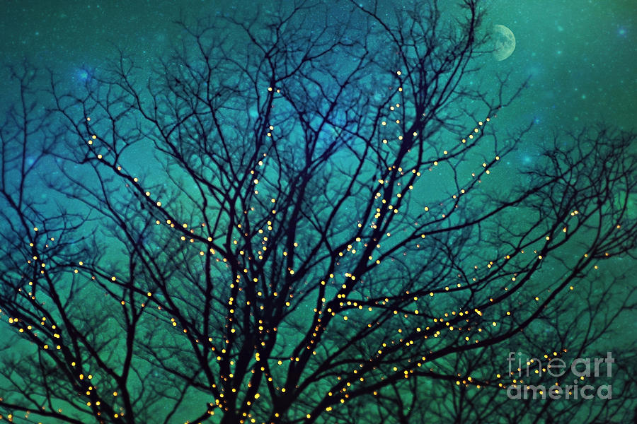 Magical night Photograph by Sylvia Cook